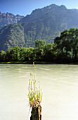 Impression of Rhone River, between St. Maurice and Martigny, Switzerland