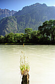 Rhone River between St. Maurice and Martigny, Switzerland