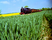 Steamer Kappeln Suederbrarup, through green and yellow fields, Schleswig-Holstein, Germany