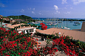 Häuser an der Küste und Segelboote im Hafen, St. Maarten, Saint Martin, Karibik, Amerika