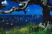 Blick auf Boote in einer Bucht, St. Barthelemy, St. Barts, Karibik, Amerika