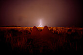 Zwei Termitenhügel vor dem Sturm, Blitze vor dem Sturm, Namibia, Afrika