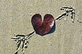 Herzfoermiges Blatt am Strand