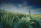 Grain field in front of West Tower, Wangerooge, Eastern Frisia, Lower Saxony, Germany
