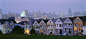 Cityscape from Alamo Square, Skyline, San Francisco, California, USA