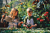 Kinder, bei der Gartenarbeit