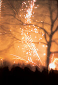 New year's eve fireworks, Hamburg, Germany
