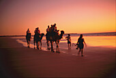 Kameltour am Strand, Cable Beach, Kimberley Westaustralien, Australien