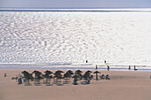 Playa de la Fontanilla, Costa de la Luz, Andalusien Spanien