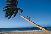 Mädchen auf Palme am Strand, Dominikanische Republik, Karibik