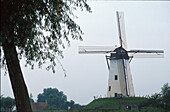 Windmuehle, Damme, Flandern Belgien