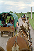 Horse Carriage, Vogesen France