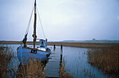Trawler bei Bierregard, Dänemark