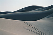 Wüstenlandschaft, Katar
