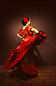 Flamenco Dance, Dance People