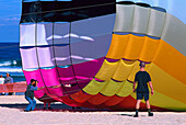 Drache- Festival of sthe Winds, Bondi Beach, NSW Australien