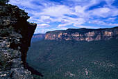 Grose Valley, Blue Mountains, New South Wales Australia