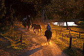 Trail Riding, Megalong Valley, New South Wales Australia