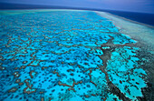 Aerial view, Heron Island, Great Barrier Reef Queensland, Australia