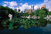 Chinesischer Garten, Sydney , NSW Australien