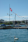 Seepromenade, Lake Zurich, Zürich, Schweiz, Europa