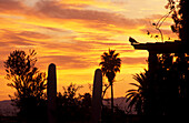 Sunrise from Riad Kaiss, Marrakesh Morocco