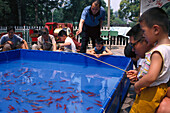 Kids fishing Goldfish, Beijing China