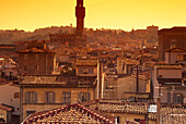 Florentine Roofs, Palazzo Vecchio, Florence, Tuscany Italy