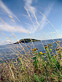 Coast and little island, Hannafore Point, South, England Great Britain