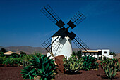 WIndmühlenmuseum, Antigua, Fuerteventura, Kanaren, Spanien, Europa
