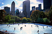 Woolman Rink, Central Park, Manhattan