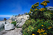 Table Mountain, Cape Town, South Africa