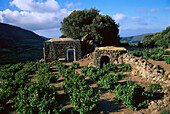House for seasonal workers, Pantelleria Island Italy