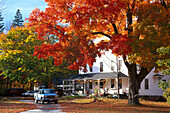Herbstliche Bäume vor einem Haus, North Conway, New Hampshire, USA, Amerika