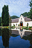 Vineyard, Vergelegen, Cape Town, Western Cape South Africa