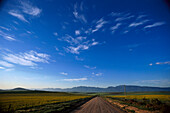 Road to the Riversondier Mountains, Swellendam, Western Cape, South Africa