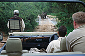 Game Drive, Ulusaba Game Reserve Krueger NP, South Africa