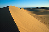 Sanddünen im Sonnenlicht, Maspalomas, Gran Canaria, Kanarische Inseln, Spanien, Europa