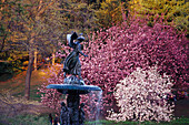 Bethesda Fountain, Central Park New York, USA