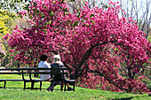 Central Park, Manhattan New York, USA