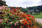Blumenbeet in einem Park vor einem Schloss, Naqueville, Cotentin, Normandie, Frankreich, Europa