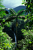 Waterfall near Cascada La Fortuna, Costa Rica, Caribbean, Central America
