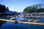 Boote an der Anlegestelle im Hafen, Telegraph Cove, Vancouver Island, Britisch-Kolumbien, Kanada, Amerika