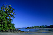 Mac Kenzie Beach unter blauem Himmel, Pacific Rim Nationalpark, Vancouver Island, Britisch-Kolumbien, Kanada, Amerika