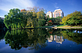 Lagoon at Public Garden, Boston, Massachusetts, United States, USA