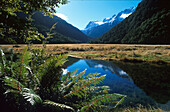 Trekking Routeburn, Track, Mount Aspring NP Queenstown, Neuseeland