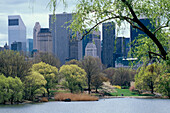 Central Park, The Lake, New York, USA