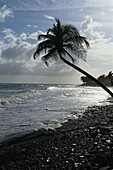 Strand bei Yallahs, St. Thomas Jamaika, Karibik