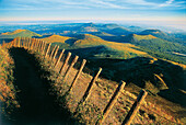 Puy de Dome, Parc Reg.des, Volcans, b. Bromont Auvergne, Frankreich