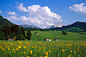 Landschaft bei Schwangau, Bayern, Deutschland